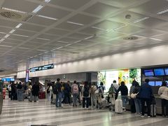 -米兰马尔彭萨国际机场