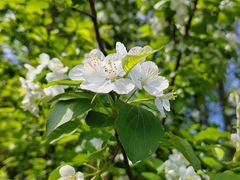 -食膳公园包子铺(烈士公园店)