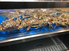 -盒马鲜生(顺义店)