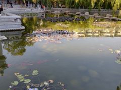 -孺子亭公园