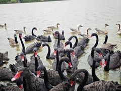 -艾溪湖湿地公园