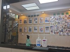 -半岛宠物医院24小时·内窥镜·牙科·碎石中心(府城大道店)