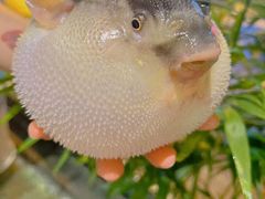 -永安鱼庄·镇江菜(丁卯店)