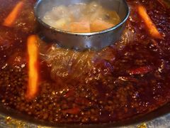 -星鸿社重庆老火锅(燃灯寺分店)