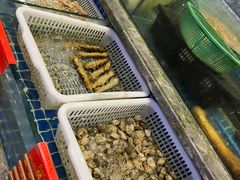 -骏莱海鲜鱼港(五角场店)