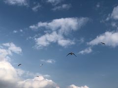 -滇池海埂公园