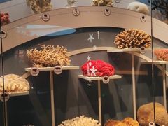 -中国湿地博物馆