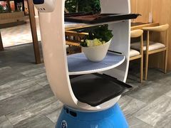 -大自然醉鹅·铁锅火焰鹅(上海联洋店)