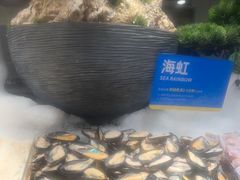 -星伦多自助料理·涮烤一体(江桥万达店)