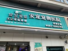 -安安宠医宠物医院·异宠·犬猫内科(岳阳分院)