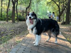 -蜀冈西峰生态公园