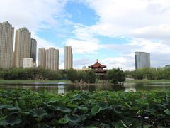 -青城公园