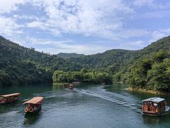 -鼎湖山风景区