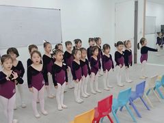 -西安小天鹅艺术团(金花路校区)