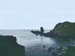 -涉地可支