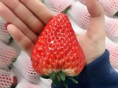 -法云安缦酒店