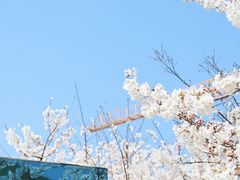 -龙美术馆(西岸馆)