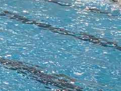 -齐汇维景大酒店游泳馆(山东政协大厦齐汇维景)