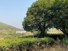 -龙寺生态园