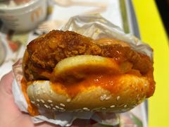 大盘鸡风味麦辣鸡腿汉堡-麦当劳(安定门外大街店)