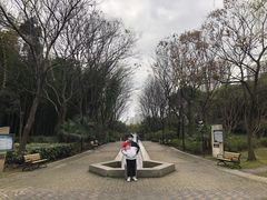 -苏州河梦清园环保主题公园