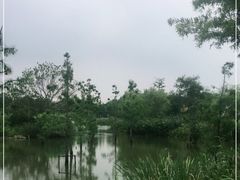 -上海长兴岛郊野公园