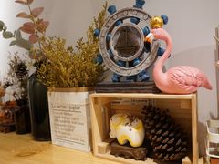-白日梦奶茶