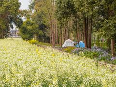 -中国天府农业博览园