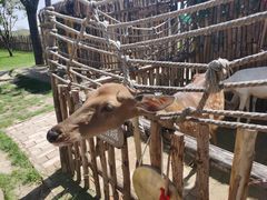 -白鹿原影视城