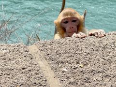 -白帝城·瞿塘峡景区