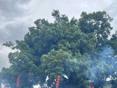 -悦城龙母祖庙
