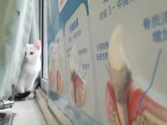 -总动员动物医院(宝丰院店)