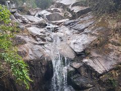 -九龙江国家森林公园