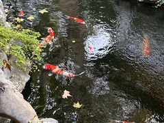 -鲤院·新中式美学·庭院餐厅(夫子庙店)