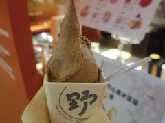 -野人先生现做冰淇淋(北京王府井东方新天地店)