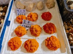 -云南木水花野生菌交易中心