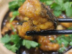 土烧白鳝煲-粤·向群饭店(龙津东路总店)