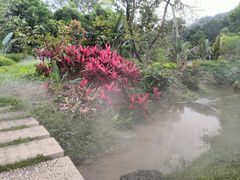 -东莞植物园