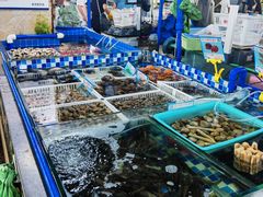 -鸿港海鲜批发市场