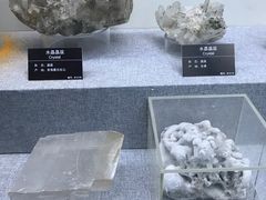 -甘肃地质博物馆