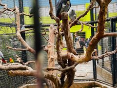 -北京野生动物园