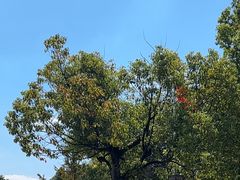 -敬亭山风景名胜区