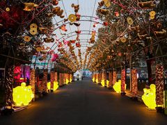 -锦江乐园舞狸花花游园会(夜场专享)