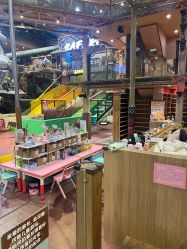 -卡通尼·Safari非洲探索乐园·生日会(金桥国际商业广场店)