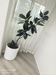 -HEYAN荷妍专业脱毛连锁机构