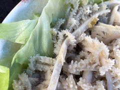 -马帮寨院坝火锅(龙港公园店)