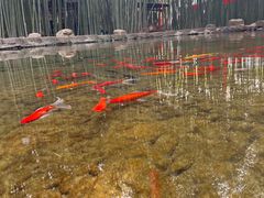 -竹泉村旅游度假区