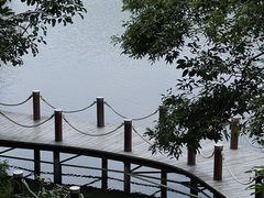 -深圳市中科院仙湖植物园