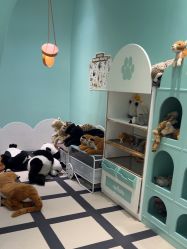 -奈尔宝·儿童乐园·亲子餐厅(苏州大悦城店)