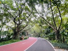 -南宁南湖公园